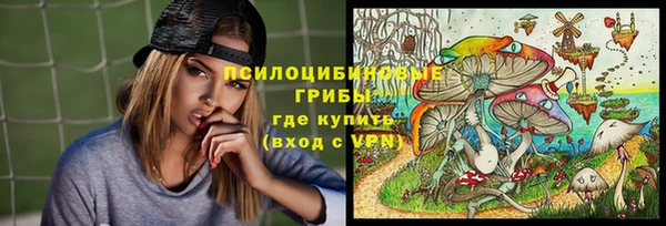 спиды Алексеевка